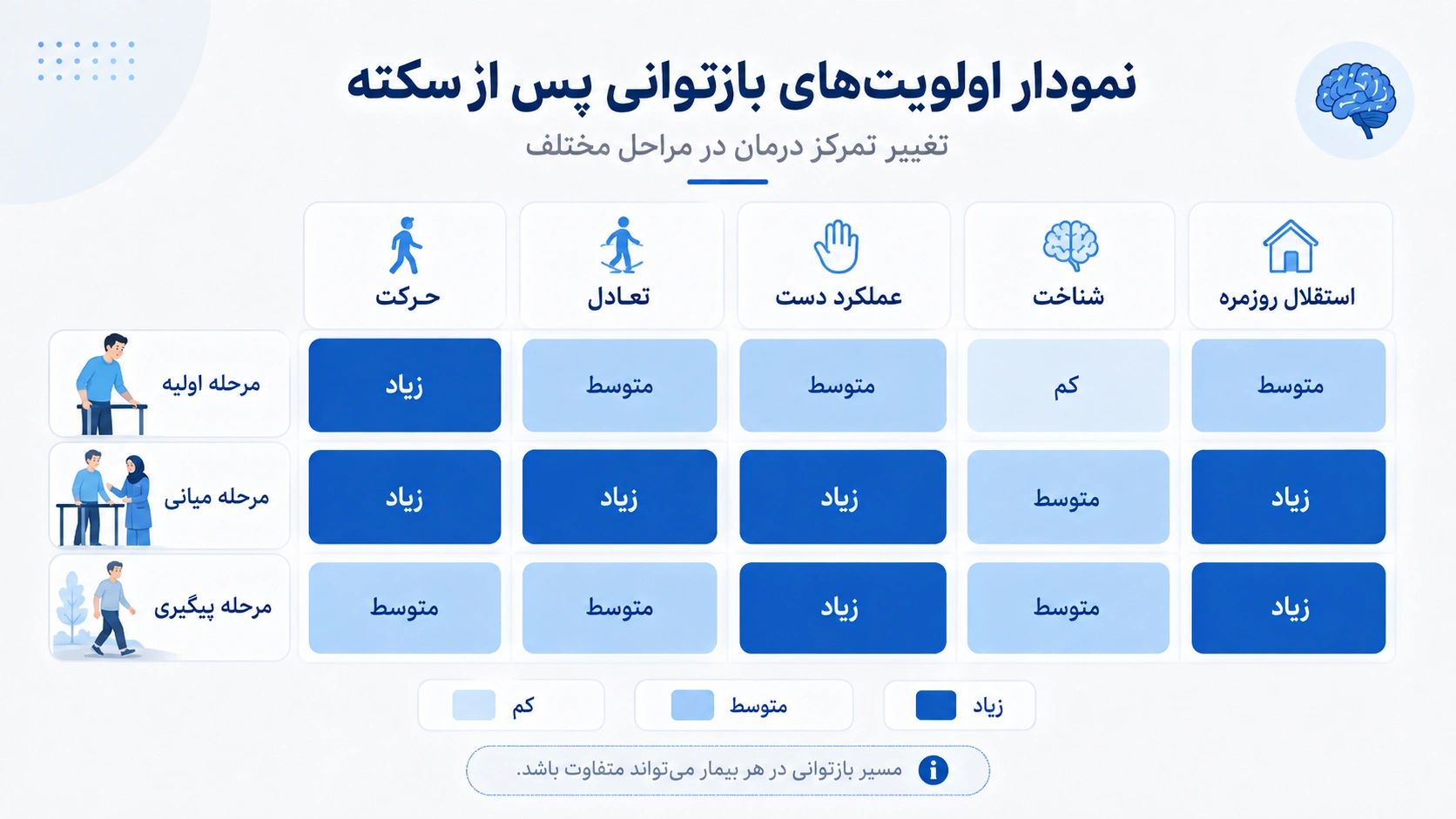 نمودار اولیتهای بازتوانی پس از سکته مغزی
