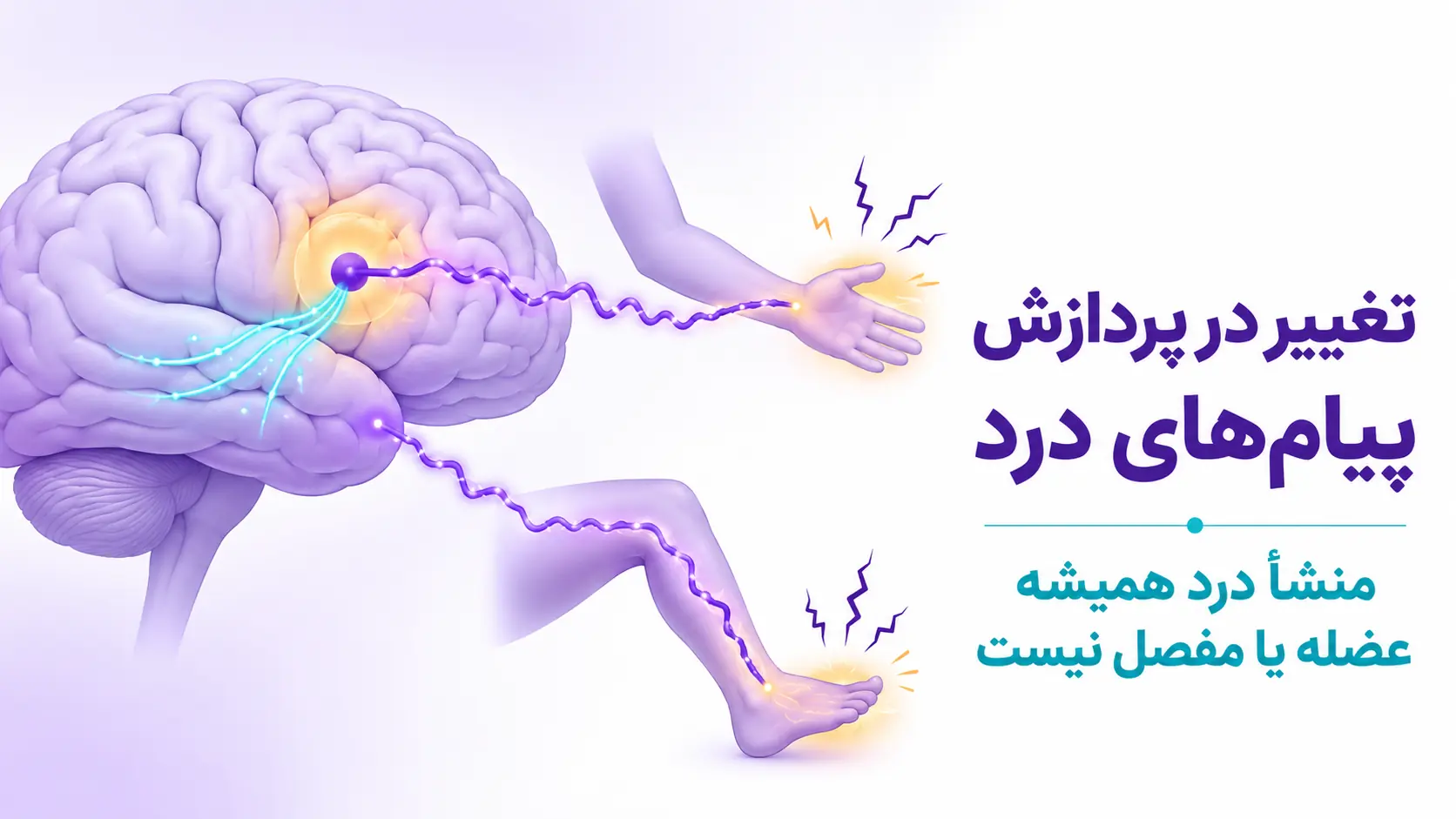 علت درد گرفتن اندام&zwnj;های بدن پس از سکته مغزی