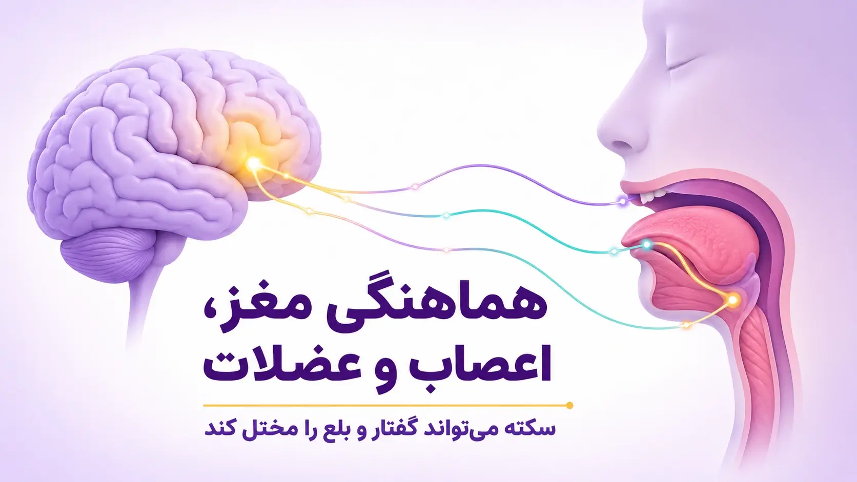 چرا سکته مغزی باعث مشکلات بلع و تکلم میشود؟
